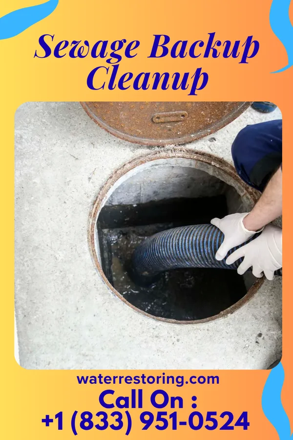 Sewage Backup Cleanup in Newport, AR
